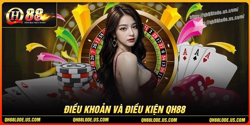 Điều khoản điều kiện QH88 quy định cụ thể dễ hiểu