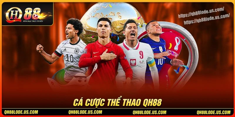 Thể thao QH88 - Sảnh soi kèo, cá độ đa dạng uy tín